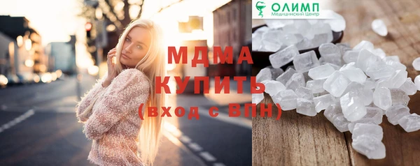 индика Алексин