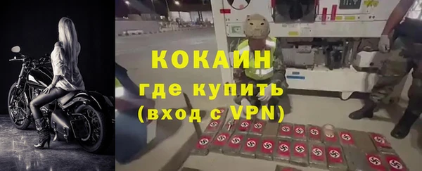 индика Алексин