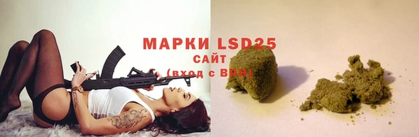 индика Алексин