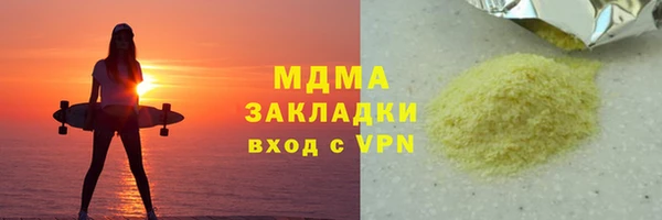 индика Алексин