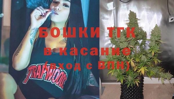 индика Алексин