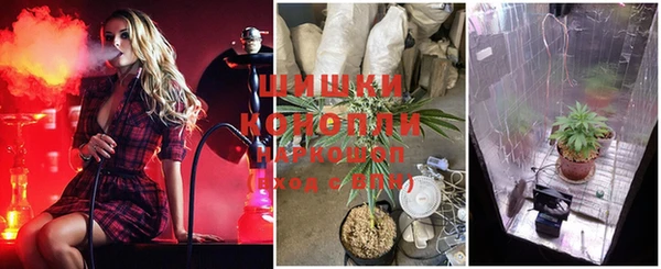 шишки Алзамай