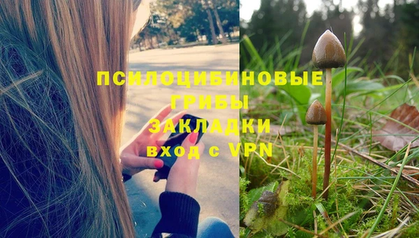 каннабис Алексеевка