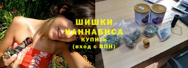 шишки Алзамай