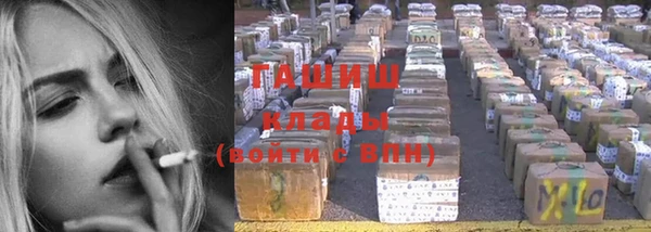 индика Алексин
