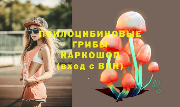 индика Алексин