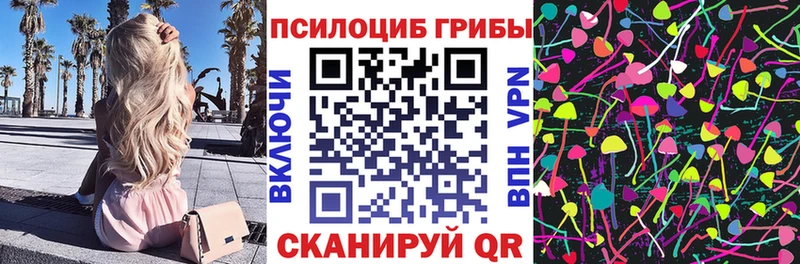 Галлюциногенные грибы Psilocybine cubensis  площадка состав  Пущино 
